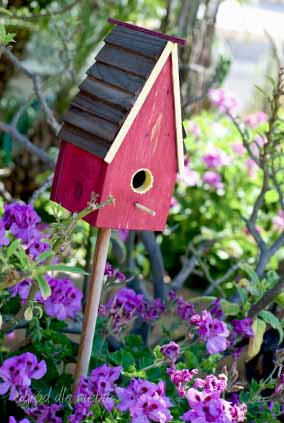 czerwony karmnik dla ptaków