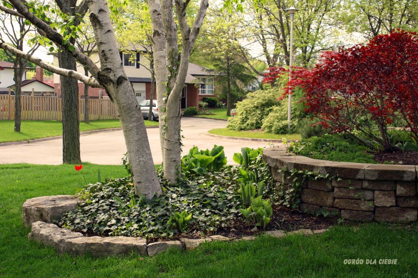 kamineń w ogrodzie www.ogróddlaciebie.net