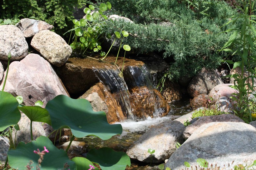 oczko wodne z wodospadem