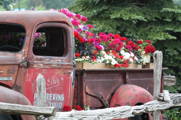 pan samochodzik, aranżacja kwiatowa