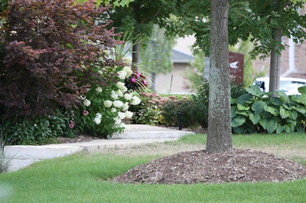 ogródek przed domem