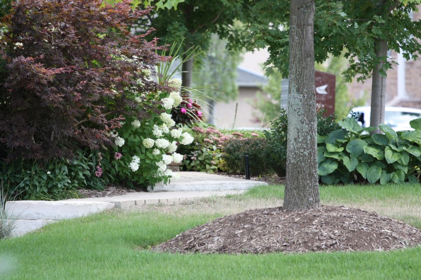 ogródek przed domem