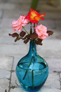 róże w pięknym niebieskim wazonie