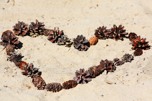 Serce na plaży, ułożone z szyszek