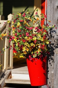 kwiaty w czerwonym pojemniku, aranżacja kwaitowa