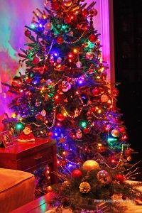 Choinka Bożonarodzeniowa