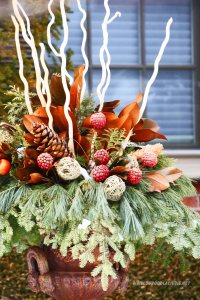 zielen w donicy dekoracja zimowa do ogrodu