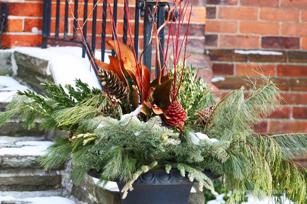 zimowa aranzacja w ogrodzie
