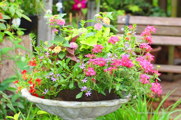 kwiatowa dekoracja do ogrodu