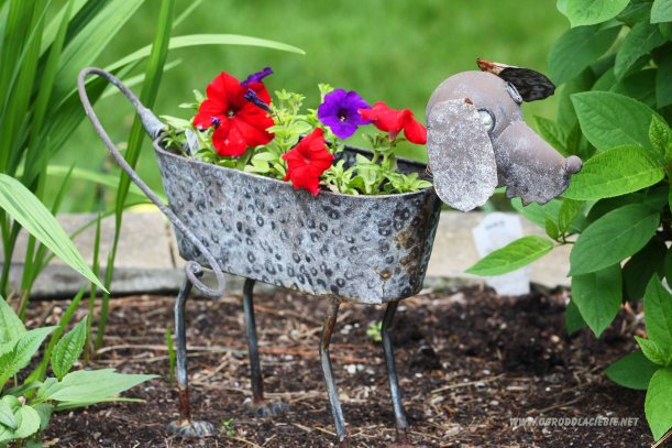 pies - kwiatowa dekoracja do ogrodu