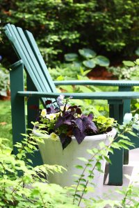 krzesło w ogrodzie na patio